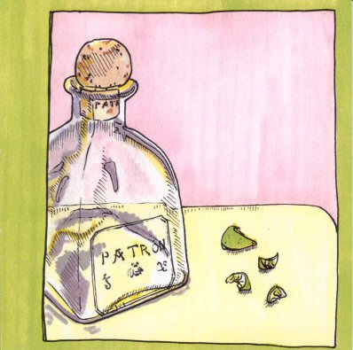 Picture Diary #2 cover